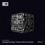 Dj & Producer - Joe Berm