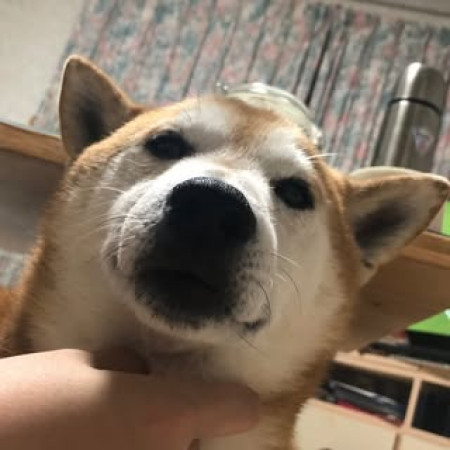 Kaaana