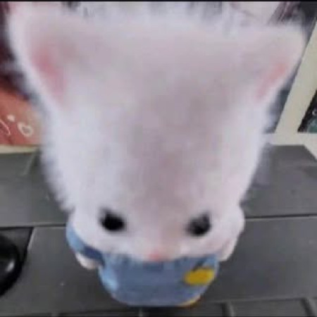 KANDE