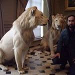 Profile of kenji Takimi