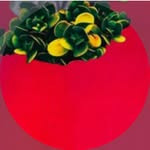 Profile of DJ KENROU