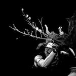 Profile of LOYALTY FLOWERS