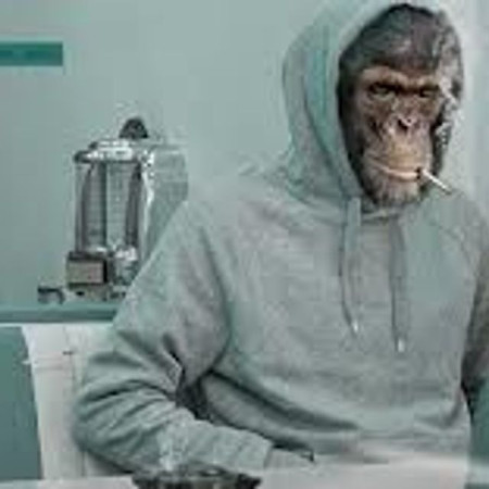 KONG in da mix