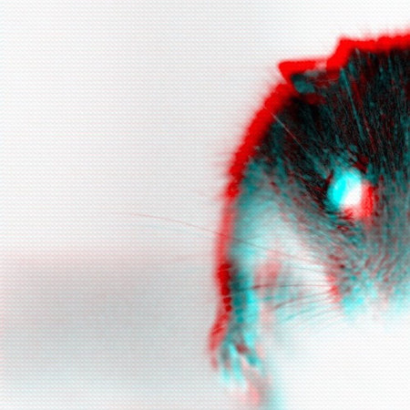 Lab Mouse