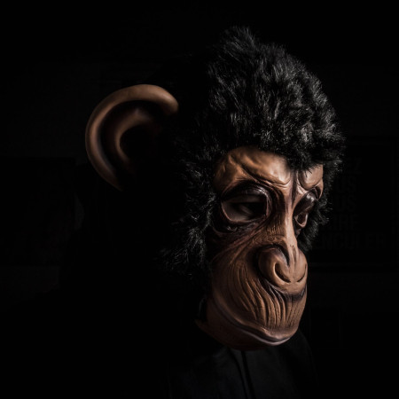 Le Monkey