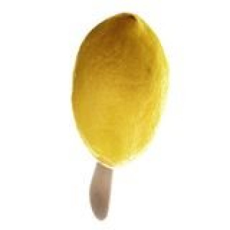 Lemon Popsicle