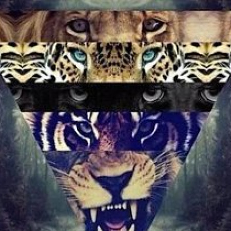 LeOCh