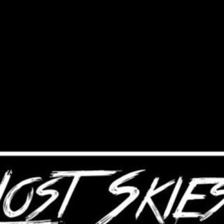 Lost Skies