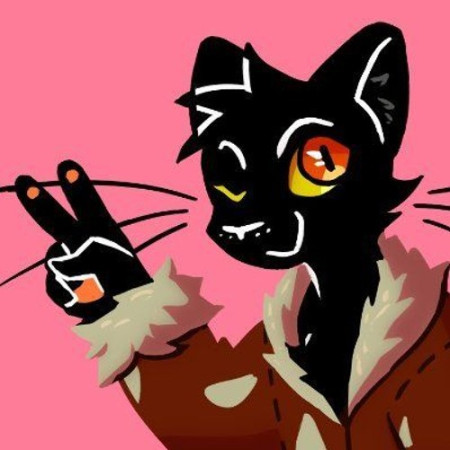 LOSTCAT
