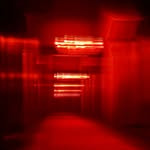 Profile of Maddy Soma