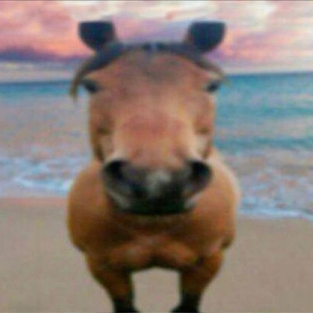 mad gavs