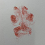 Profile of Martin Kino