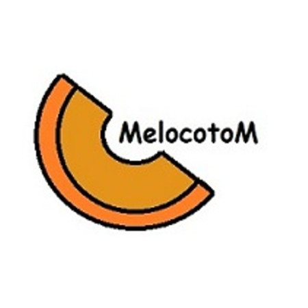 MelocotoM iTom Ibiza