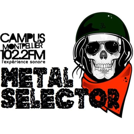 Metal Selector