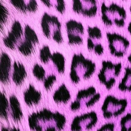 MOHOHOMO