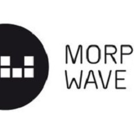 Morphic Wave