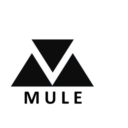 MULE (producer and musician)