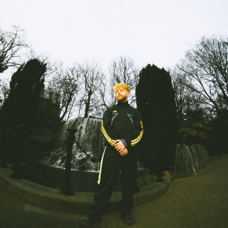Niall Kelly