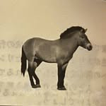 Profile of さらさ