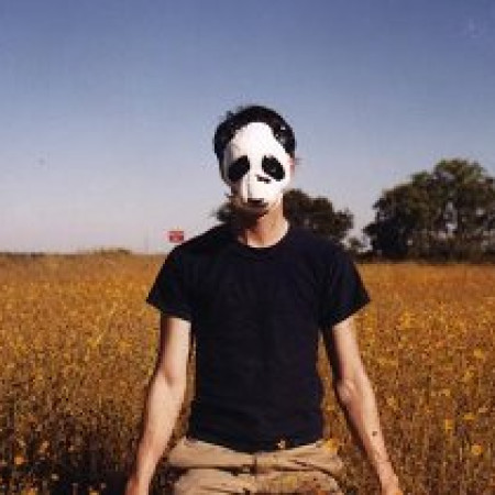 Panda Bear