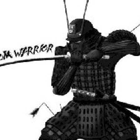 Phantom Warrior