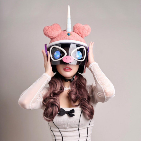 PIGGY PONY