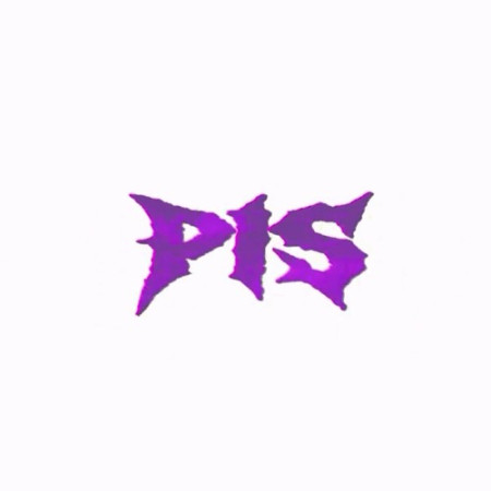 DJ PIS (prpr)