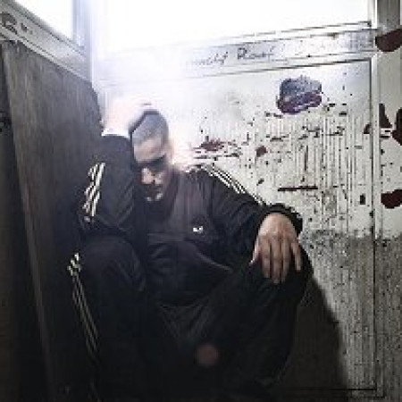 Plastician