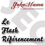 [Podcast SEO] Le Flash Référen