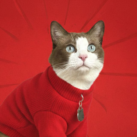 Praewmeow