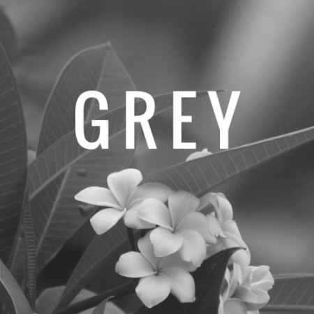Producer GREY