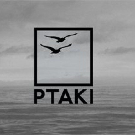Ptaki