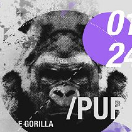 Purple Gorillas