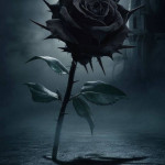 DJ Ralph Thomas - DJ Baby Bee