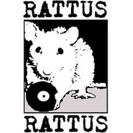 Rattus Rattus