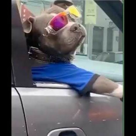 DJ CHOLO