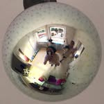 Profile of Roza Terenzi