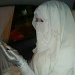 Profile of SpringLing