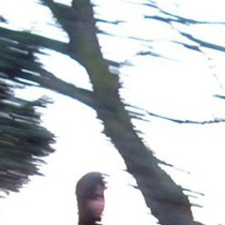 Scrase