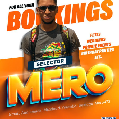 Selector Mero473