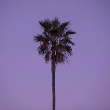 Semo