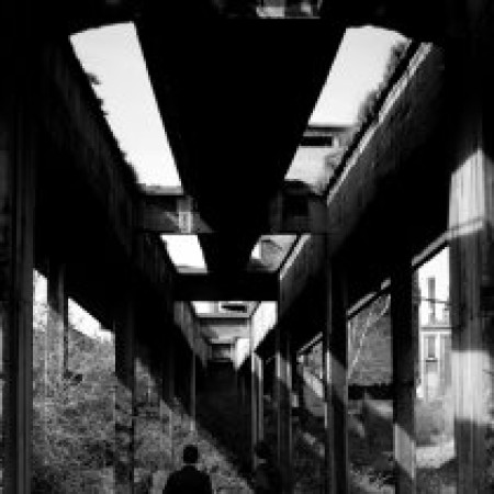 Shades