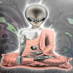 Profile of shaka bose