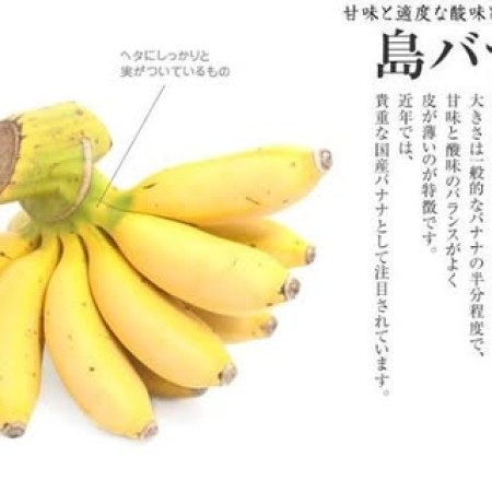 Shima
