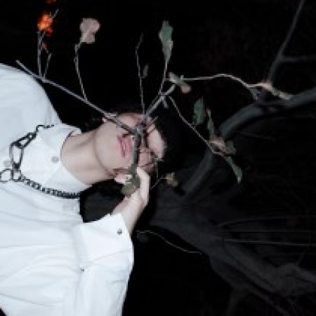 SilkBoi