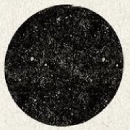 Silki