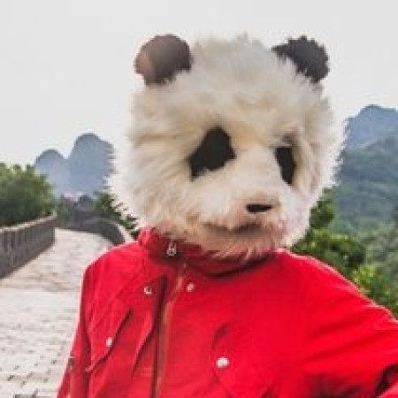 Steo Le Panda