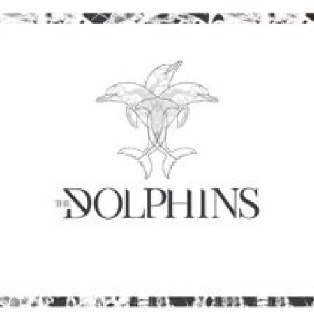 The Dolphins