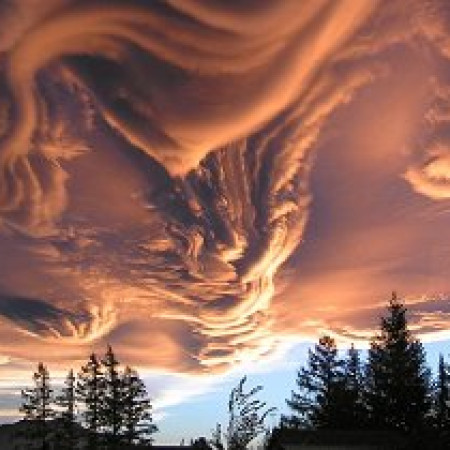 The High Strangeness