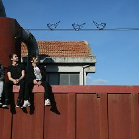 The RealBirds